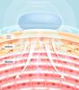 EMS Slimming V-Face Massager: Facial Lifting & Firming Device to Improve Masseter Muscles & Nasolabial Folds.