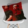 TTwenty One PPilots Band Pillow Case For 30x30cm45x45cm55x55cm For Home Bedroom Decoration And Protector