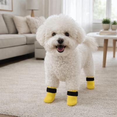 Bekleidung & Schuhe – Hundeschuhe