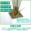 Artificial House Fake Tropical Palm Artificial House Air Inches Plants, Green, Trees, Flowers, Trees, Photocatalyst, Purifier, Deodorizer,
