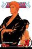 Bleach Vol. 74 by Tite Kubo Paperback Book 9781421596020
