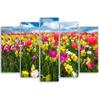 Five Piece Picture Canvas Print Colourful Flowers Meadow