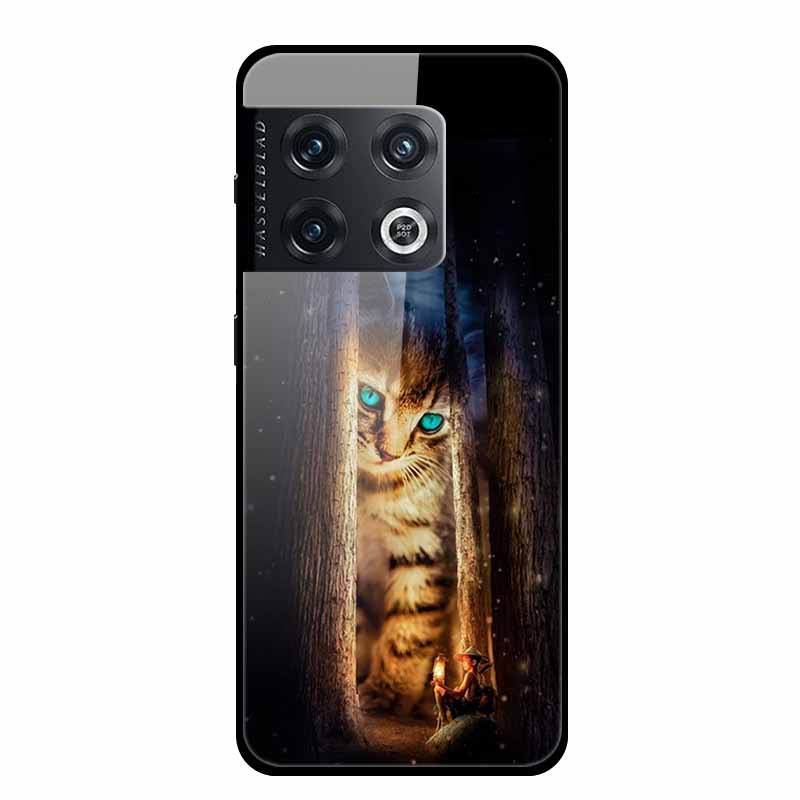 For One plus 10 Pro Case Shockproof Tempered Glass Hard Back Cover For OnePlus 10 Pro 10Pro Oneplus10 1+10 Pro Bumper Coque Case