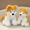 35/45cm Cute Akita Dog Plush Toy Stuffed Animal Soft Hug Plushies Fluffy Comfortable Lovely Dog Doll Birthday Gifts Child Girl