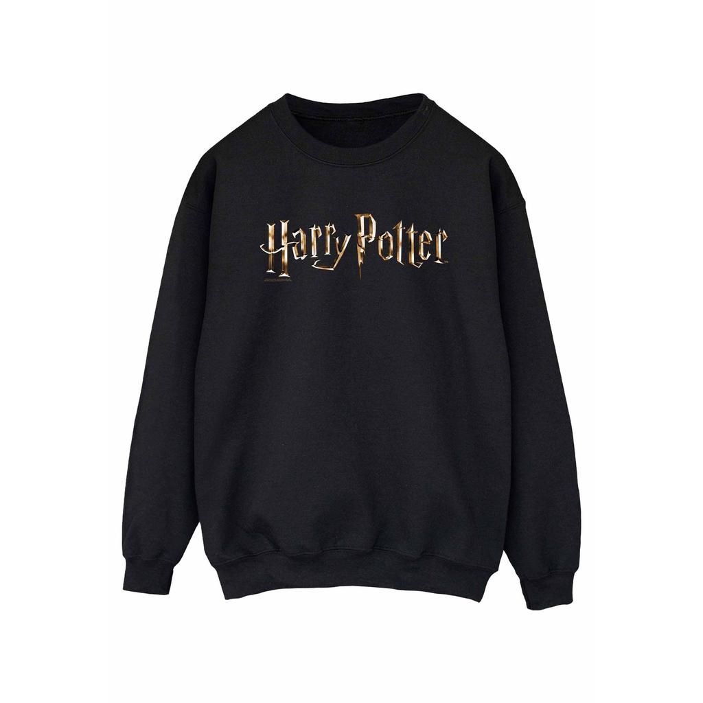 Harry Potter Mens Full Colour Logo Sweatshirt