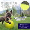 PAW EXPLORER Big Ball for Dogs Large Dog 24cm LL Requires for and Agility Includes Personalized Inflatable Ball and Inflatable Ideal for Outdoor -