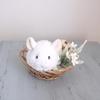 Sunlemon Baby Animals S Chinchilla WH 8 x 20 x 7cm Plush Toy, Cute Baby Animal, Fluffy, Animal, Plush Toy Photography, P-1233