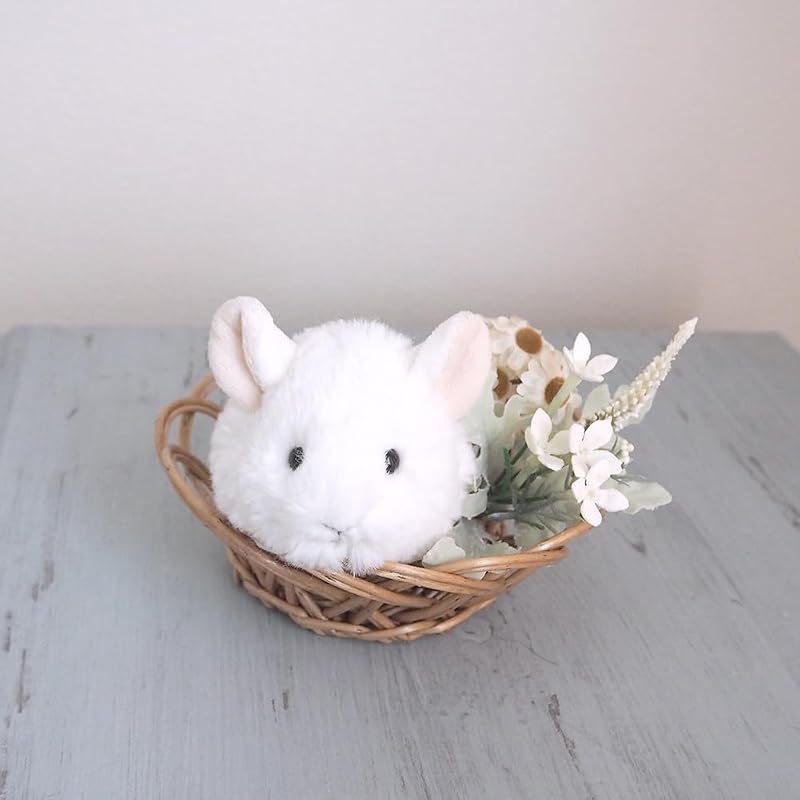 Sunlemon Baby Animals S Chinchilla WH 8 x 20 x 7cm Plush Toy, Cute Baby Animal, Fluffy, Animal, Plush Toy Photography, P-1233