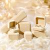 Jewelry Box, with Velvet Interior Shock-Proof Scratch-Proof Organizer, Apricot Soft Plush Jewelry Case for Rings Earrings Necklaces