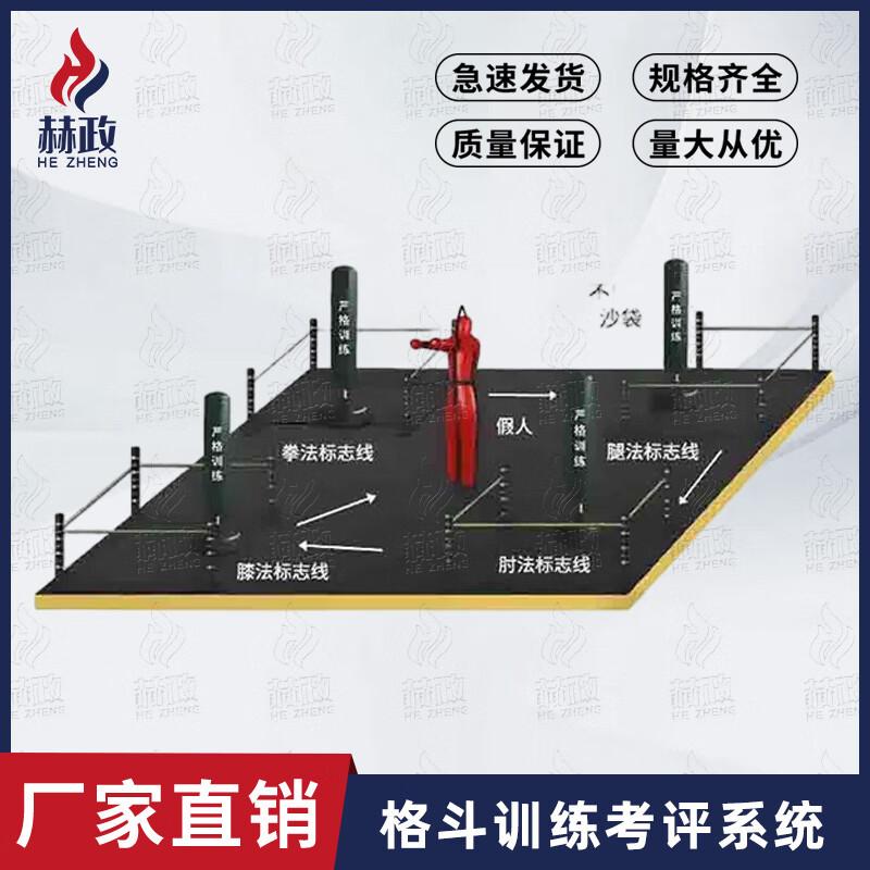 Hengzheng Combat Skills Training & Assessment System