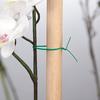 1000Pcs Plant Ties Flexible Releasable Plastic Waterproof Flower Wires for Garden