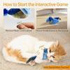 Indoor Interactive Birds Toy for Cat Chasing Teasing Toy Sounding Catnip Cat Teaser Toy Self-hilarity Wall Hanging Birds Cat Toy