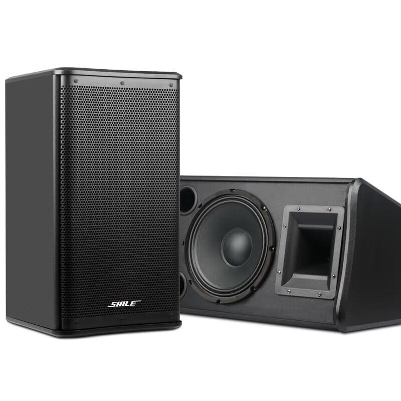 SHILE 10-inch Wall-Mounted Conference & Background Music System CN plug (adapter included)