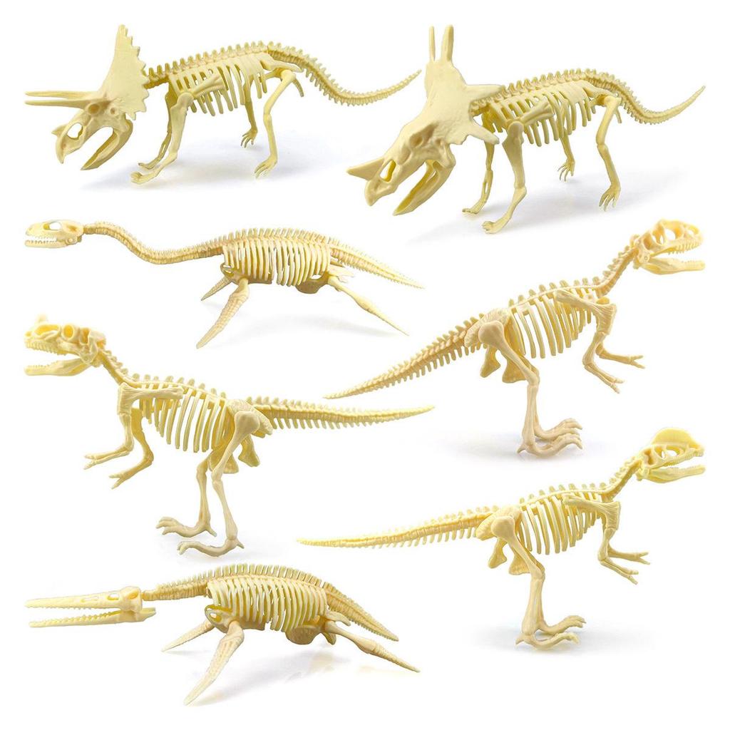 Dinosaur Skeleton DIY Assembly Kit: Educational Fossil Model Toy
