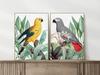 Set of Two Posters with Parrots