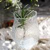 Glass Vase Pleated Roads Green Transparent Hydroponics Flower Vase Flower Arrangement Accessories Terrarium Home Decoration