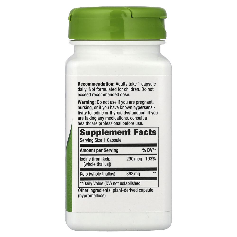 Nature's Way Kelp Whole Thallus 600mg Veggie Capsules, (100 / 180 Count)