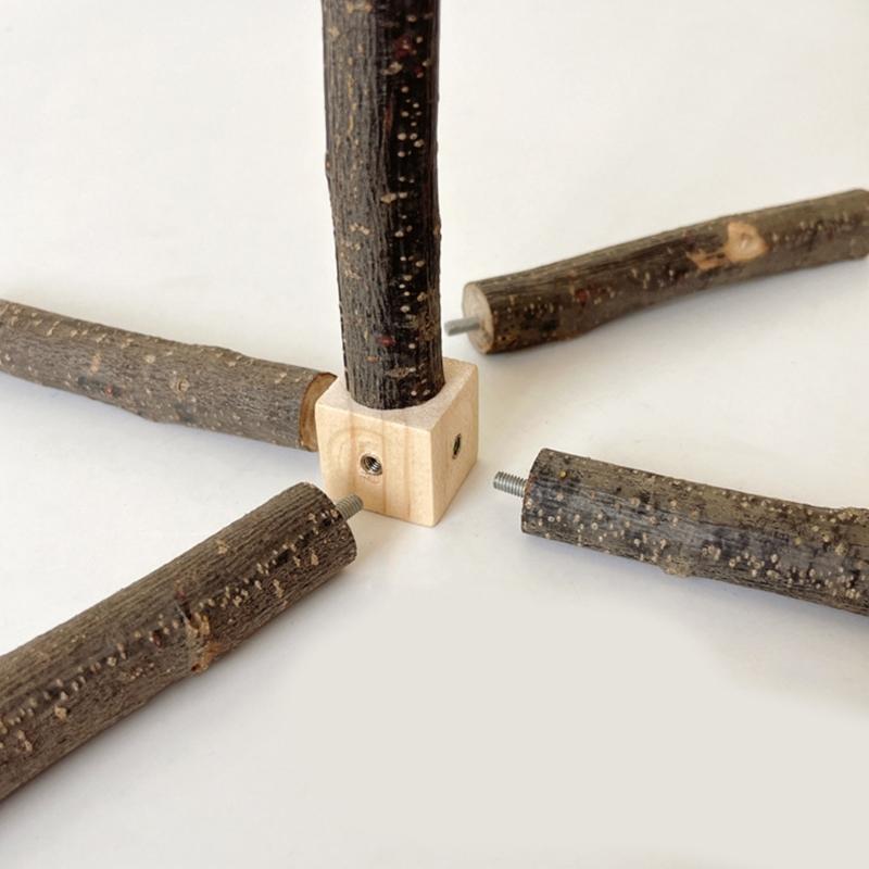 Bird Perch Nature Molar Stand for Parrots Conure Supplies Budgies Grinding Scratchers for Small Medium Parrots Toy