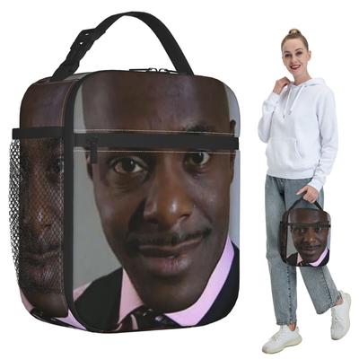 Alan Johnson Peep Show Insulated Lunch Bag for Women Office Cooler Thermal Food Box Tote Portable Lunch Boxes Container