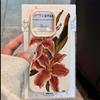 Vintage Art Oil Painting Flower Case For iPhone 17 16 15 14 13 12 11 Pro Max Plus Elegant Aesthetic Shockproof Soft Matte Cover