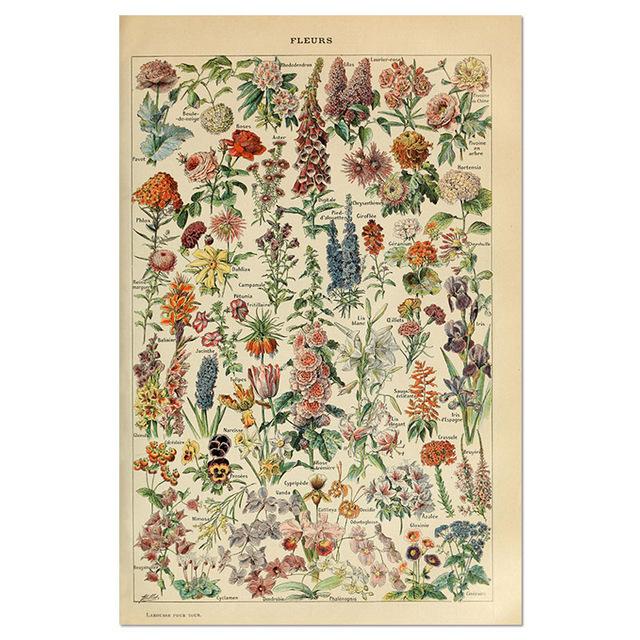 Vintage-Leinwandgemälde mit Gemüse, Früchten, Pilzen, antike Wandkunst, botanische Bilder, wissenschaftliche Poster und Drucke, Heimdekoration