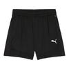 Puma Mens TeamFinal Slim Training Shorts