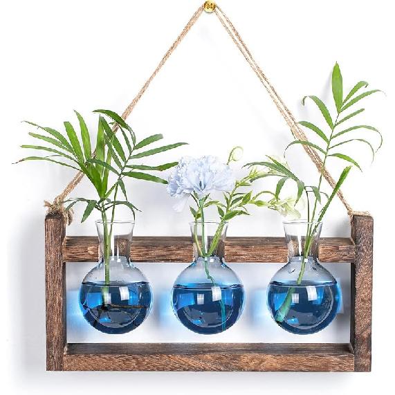 Plant Propagation Station with Wood Stand - Wall Glass Terrarium for Cuttings Air Plants Small Flower Pothos - Gift for Women Plant Lovers (Gradient