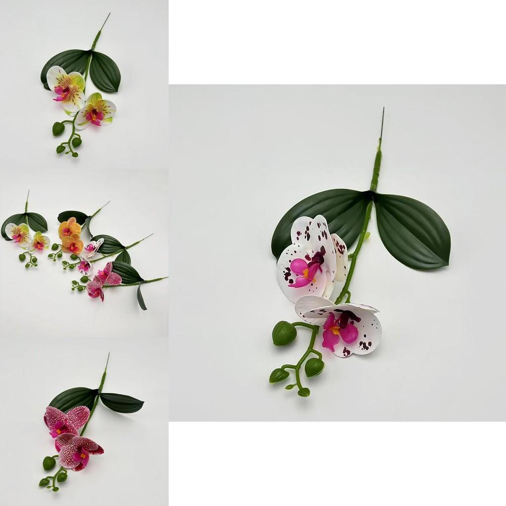 Butterfly Orchid Simulated Flower For Bedroom And Event Decoration With Realistic Design For Photography Props