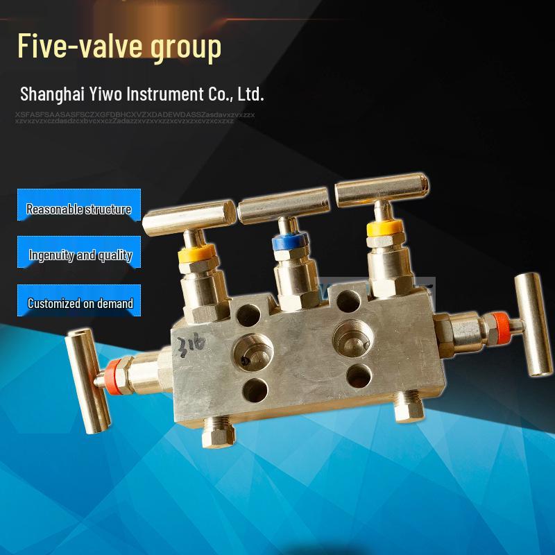Stainless Steel Five-Valve Manifold for 3051CD & EJA with Special Materials