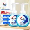 Walch Healthy Care Foaming Antibacterial Hand Soap (2 x 225ml)
