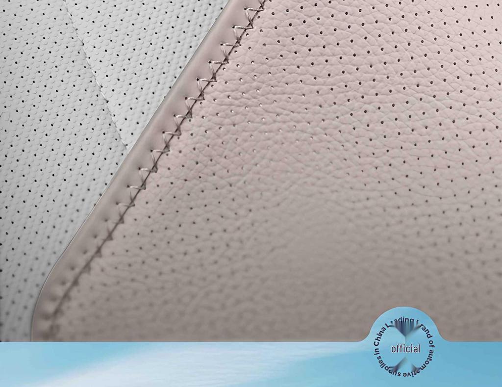 Ideal L6 All-Season Breathable Seat Cushion Cover - 25 Universal Styles