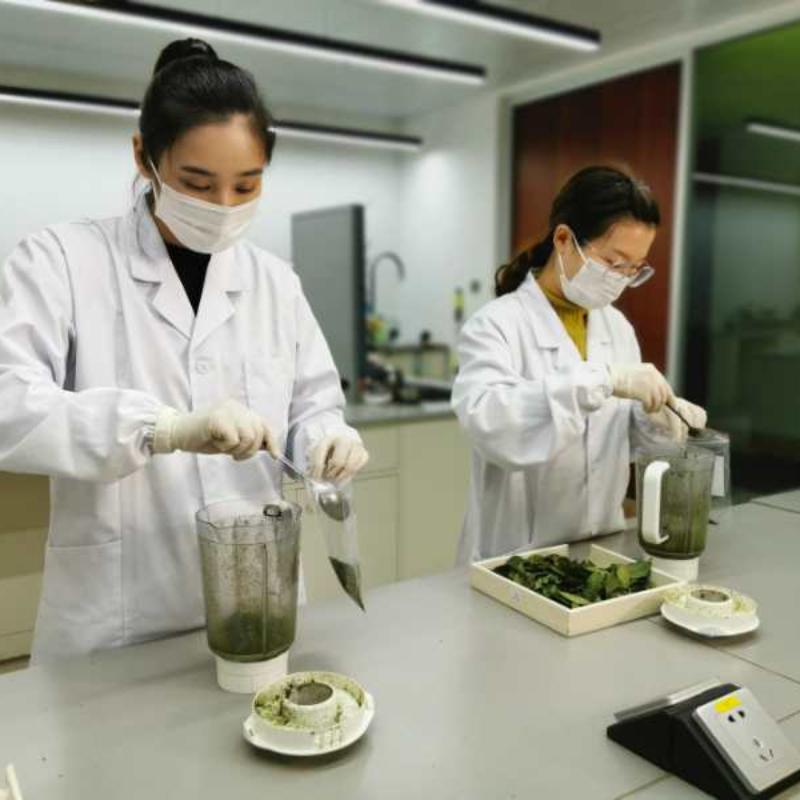 2023 Dragon Well Green Tea Lung Ching Xihu Longjing Čínský zelený čaj 100g/sáček
