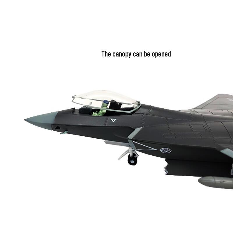 J-31 Gyrfalcon Fighter Jet Model (1:72 Scale)
