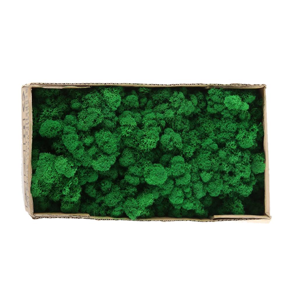 

Стабилизированный декоративный мох Прочный натуральный стабилизированный мох для домашнего декора Изготовление моделей Fruit green / 500g