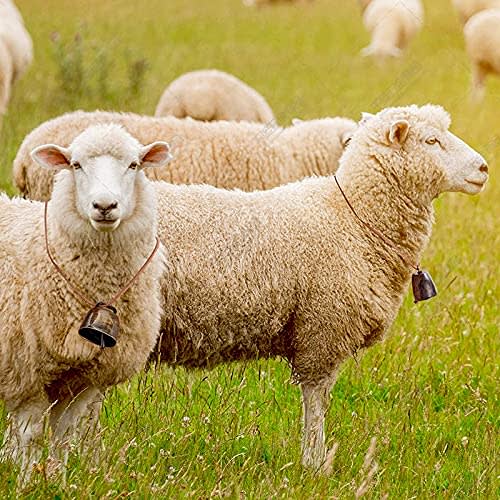 Stuurvnee 10 sztuk małych mosiężnych dzwonków dla krów, koni i owiec, retro miedziane dzwonki dla koni i owiec, dzwonki dla krów