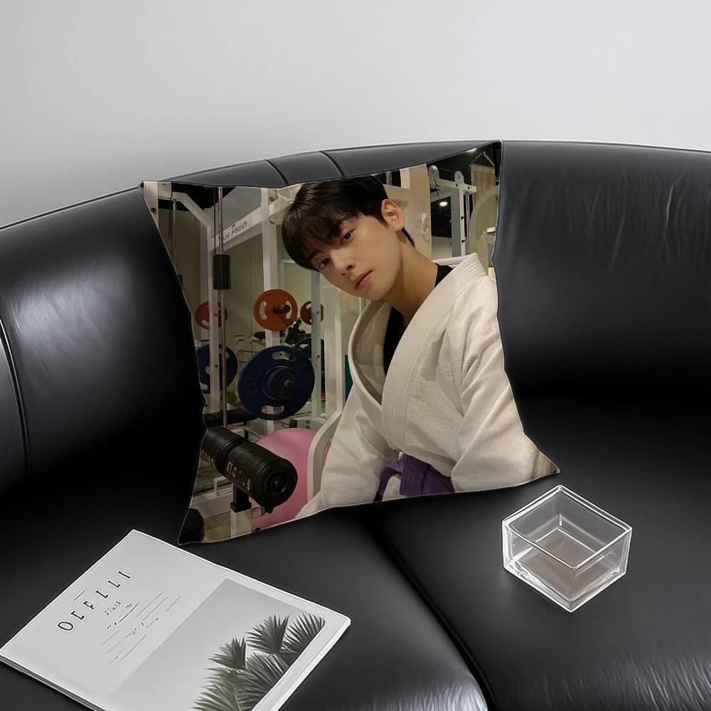 Kpop Singer Cha EEun WWoo Pillow Case Antidustmite Invisible zipper Sofa Bed