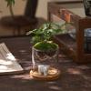 Glass Terrarium For Mountain Views Moss Planter Hydroponic Plant Container Multifunctional Cup Home Decoration Great Gift
