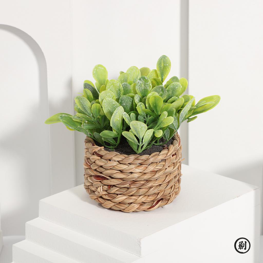 XIYA FLOWER Green Artificial Plants Eucalyptus Grass Woven Small Potted Plants Grass Mound 11cm PE Material Home Decoration