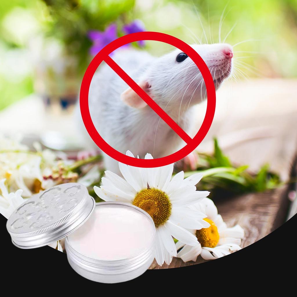 Peppermint Oil To Repel Mice And Rats, Rodent Mouse Natural Rat And Mice Deterrent Indoor Outdoor Safe For Pet Human