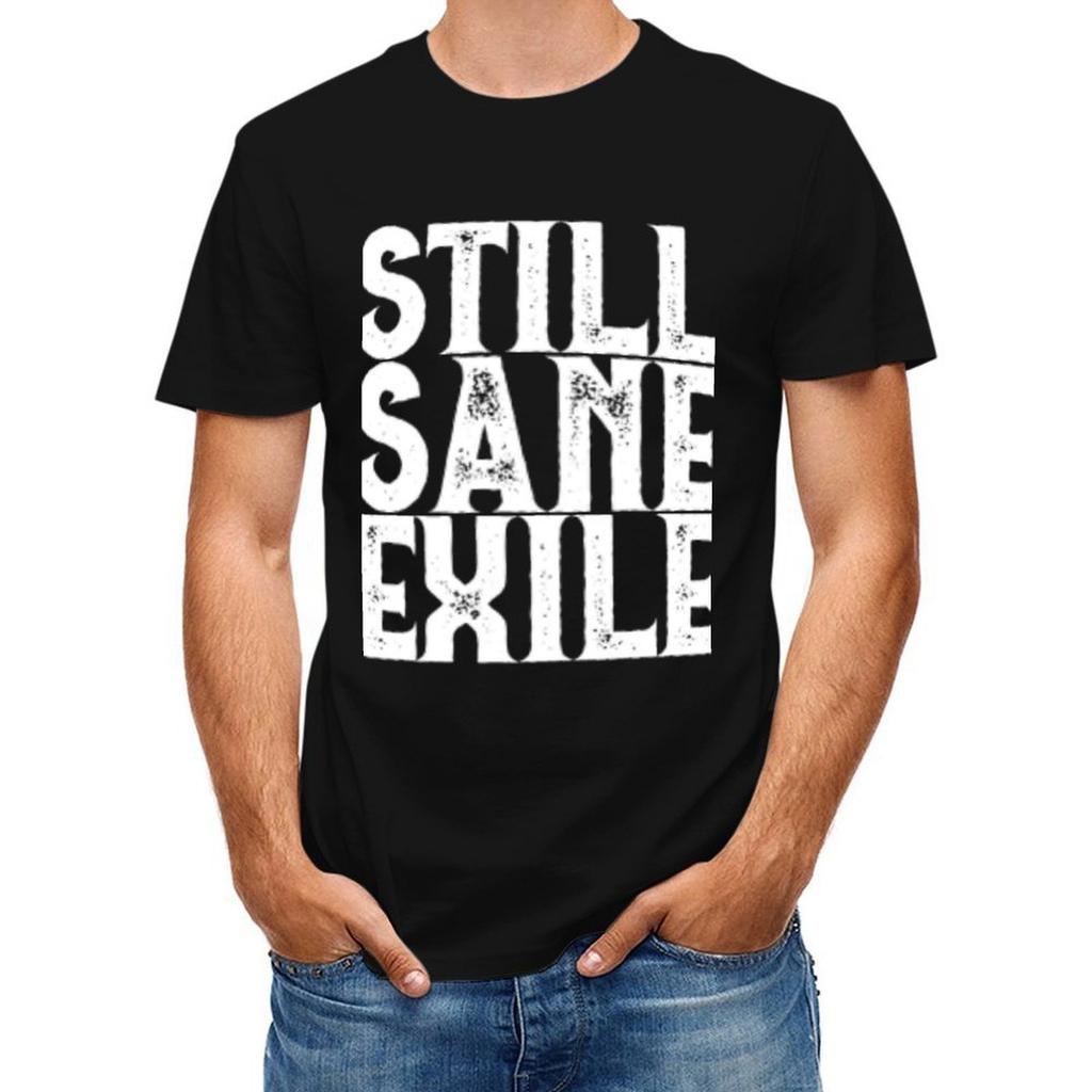 Path Of Exile Tshirt Custom Tshirts Plain Essential T Shirt Plus Size Clothes Sweat Shirts Unisex