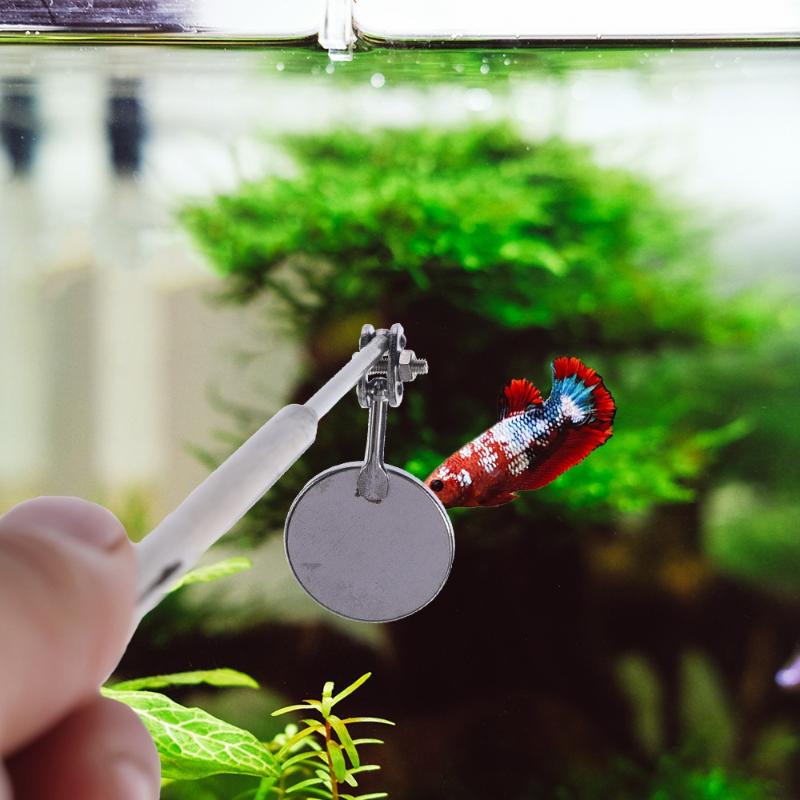 Skalierbarer Edelstahl Aquarium Betta Spiegel Fischbecken Runder Quadratischer Spiegel Für Fische Betta Flowerhorn Buntbarsch Training 3cm 5cm