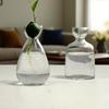 Kreativní váza Skleněná hydroponická váza na semena Skleněná váza Váza na avokádo Domácí dekorace na stůl Hydroponická ozdoba Milovníci zahradničení
