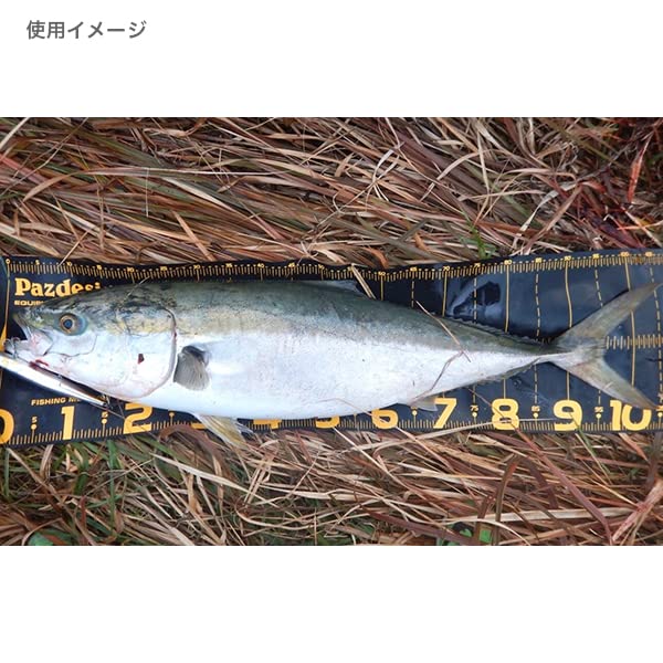 Paz Design Protect Major 120 Type II (PROTECT MAJOR 120 II) 120cm WhiteBlue PAC-316