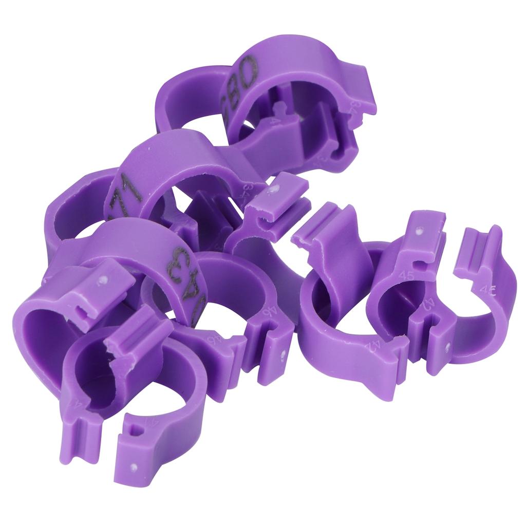 100 Stück Vogel Fußringe Nummernidentifikation Taube Beinbänder Geflügel Clip Ring Lila