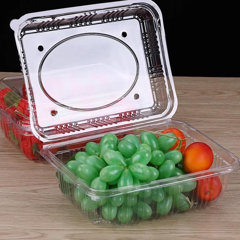 Disposable Fruit  Vegetable Packaging Box