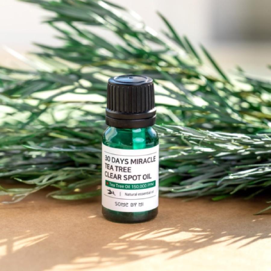 Buy [SOME BY MI] 30Days Miracle Tea Tree Spot Oil 10ml + CHERRY