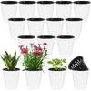 OJYUDD 16 Pcs 4 Inch Self Watering Plastic Planter with Inner Pots,White Modern Plastic Flower Planter Pots,Self Watering Decorative Flower Pots for