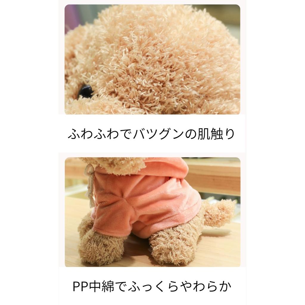 20cm Plush Toy Poodle with Detachable Hoodie, Sitting Position, Fluffy, Puppy, Body Pillow, Teddy Bear Dog, Teddy Poodle, Plush Toy, PP Cotton