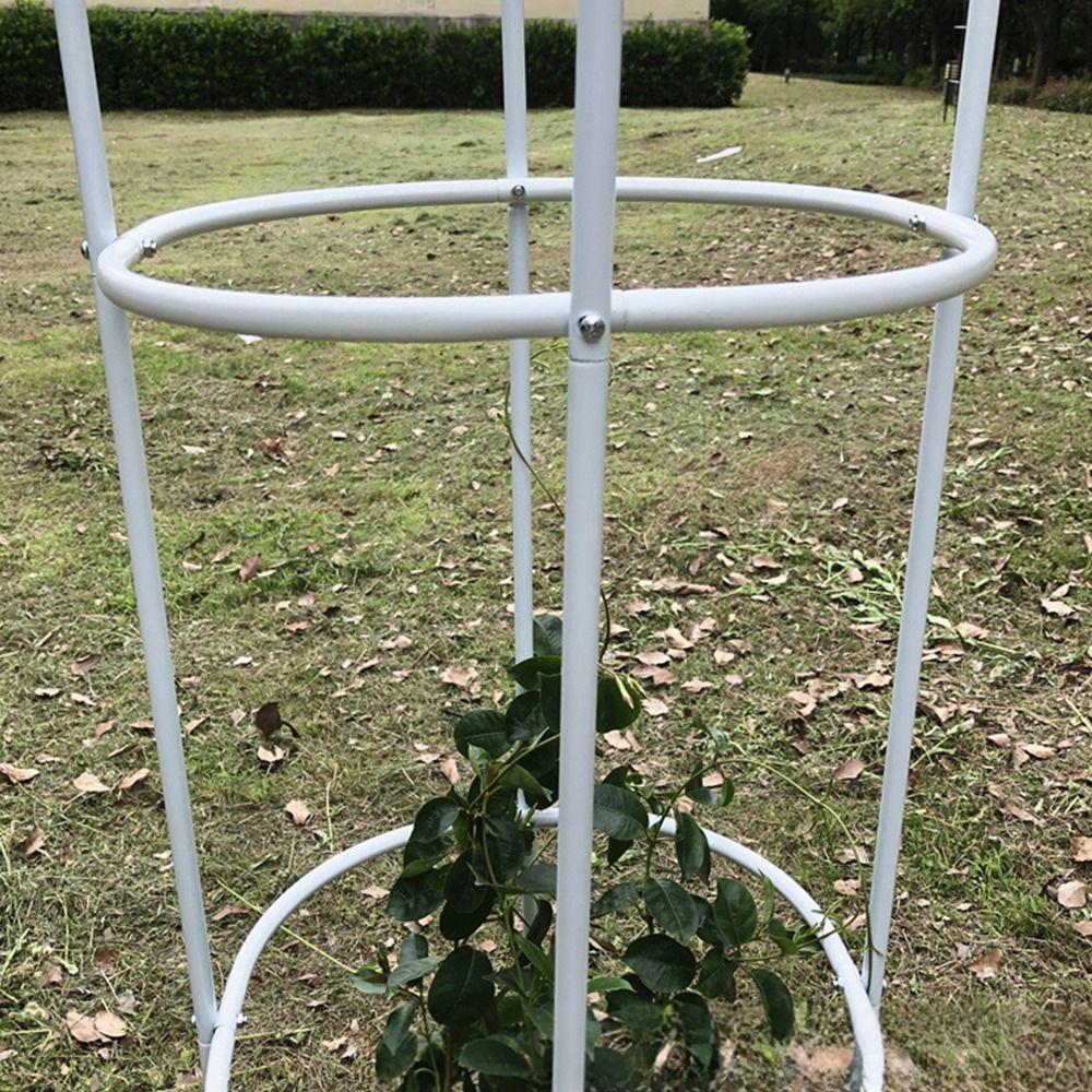 Stable Construction Plant Support Frame Climbing Vines Stand  Indoor Outdoor Yard