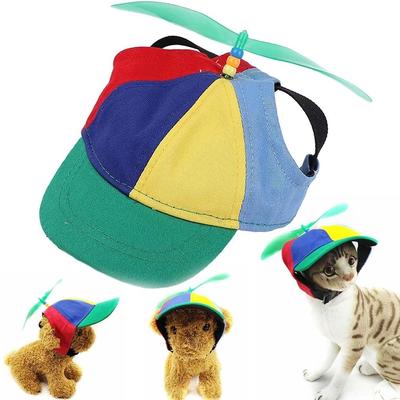 Ropa y calzado – Gorras para perros